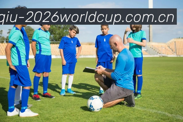 世界杯买球网站发展历程